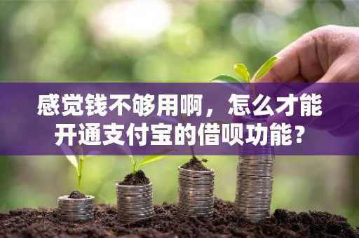 感觉钱不够用啊，怎么才能开通支付宝的借呗功能？