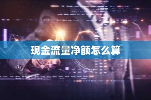 现金流量净额怎么算