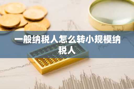 一般纳税人怎么转小规模纳税人