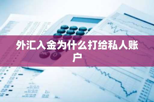 外汇入金为什么打给私人账户