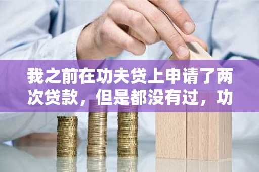 我之前在功夫贷上申请了两次贷款，但是都没有过，功夫贷能下款吗？