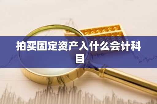 拍买固定资产入什么会计科目