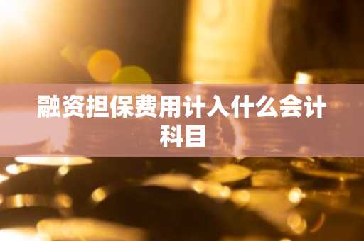 融资担保费用计入什么会计科目