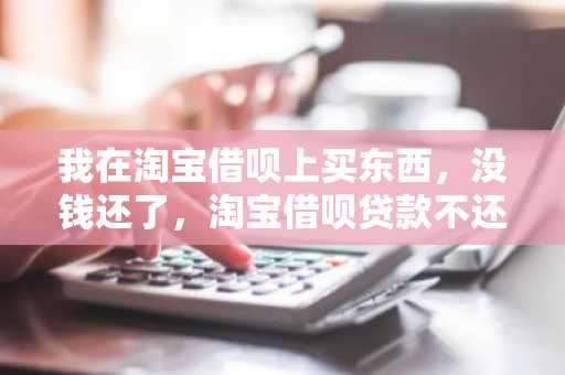 我在淘宝借呗上买东西，没钱还了，淘宝借呗贷款不还会怎么样？