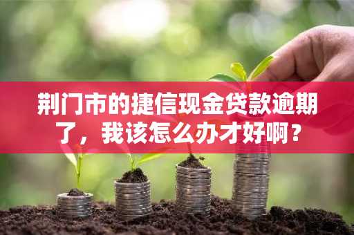 荆门市的捷信现金贷款逾期了，我该怎么办才好啊？