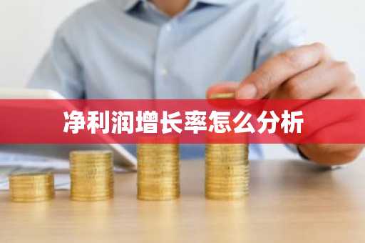 净利润增长率怎么分析