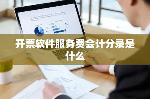 开票软件服务费会计分录是什么