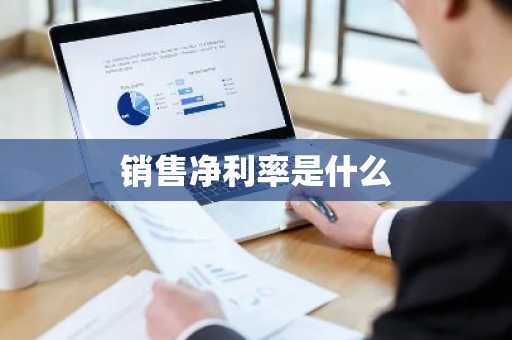 销售净利率是什么