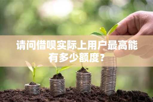 请问借呗实际上用户最高能有多少额度？