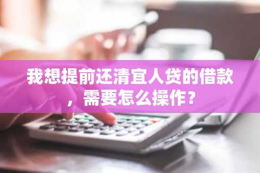 我想提前还清宜人贷的借款，需要怎么操作？