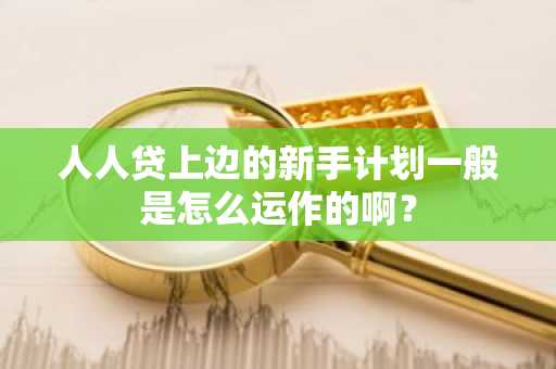 人人贷上边的新手计划一般是怎么运作的啊？