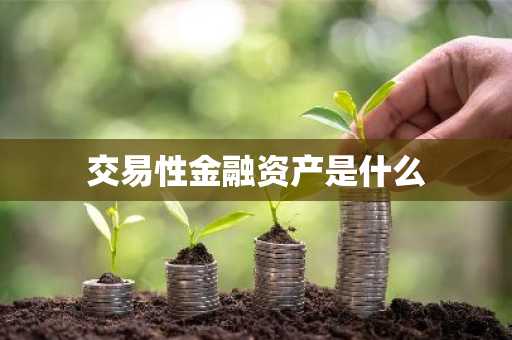 交易性金融资产是什么