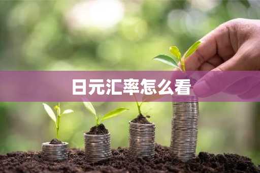 日元汇率怎么看