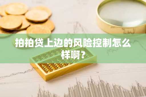 拍拍贷上边的风险控制怎么样啊？