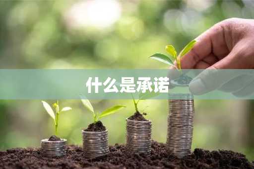 什么是承诺