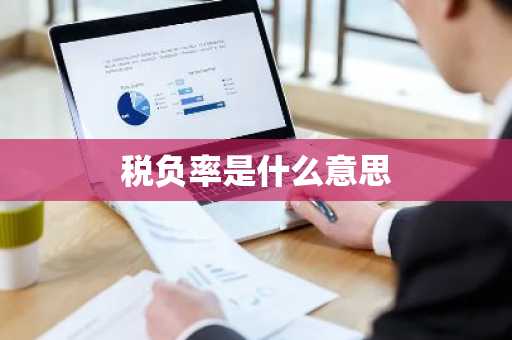 税负率是什么意思