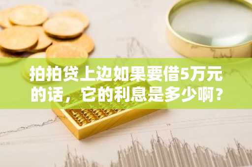 拍拍贷上边如果要借5万元的话，它的利息是多少啊？