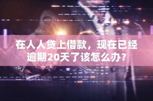 在人人贷上借款，现在已经逾期20天了该怎么办？