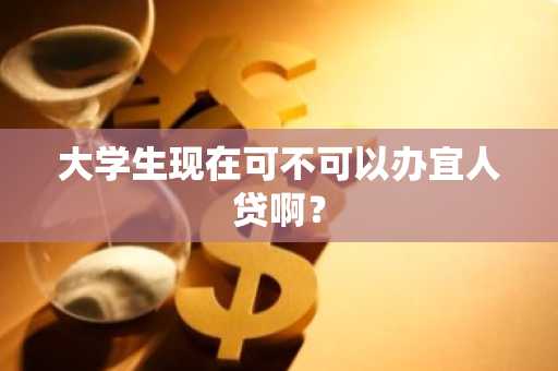 大学生现在可不可以办宜人贷啊？