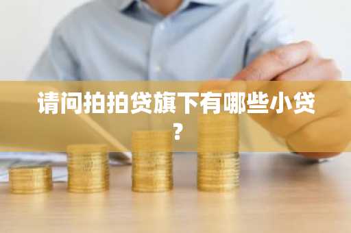 请问拍拍贷旗下有哪些小贷？