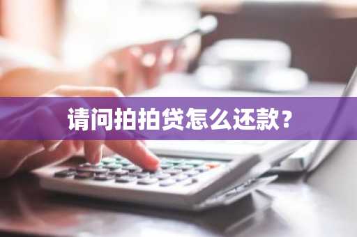 请问拍拍贷怎么还款？