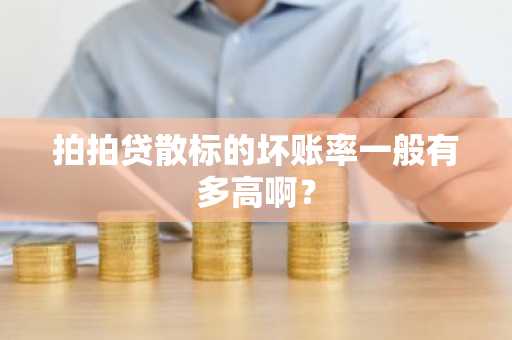 拍拍贷散标的坏账率一般有多高啊？