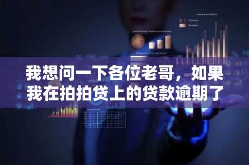 我想问一下各位老哥，如果我在拍拍贷上的贷款逾期了，多久之后会遭到轰炸？