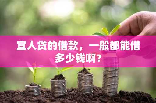 宜人贷的借款，一般都能借多少钱啊？