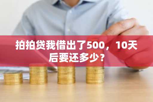 拍拍贷我借出了500，10天后要还多少？