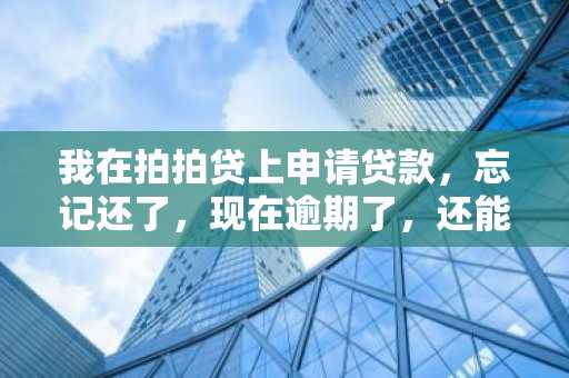我在拍拍贷上申请贷款，忘记还了，现在逾期了，还能再借款吗？