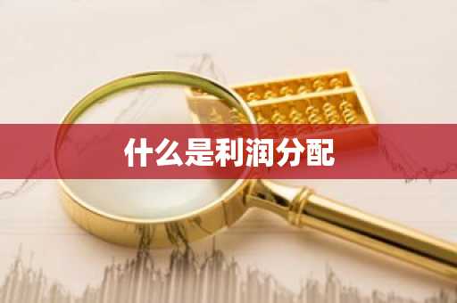 什么是利润分配