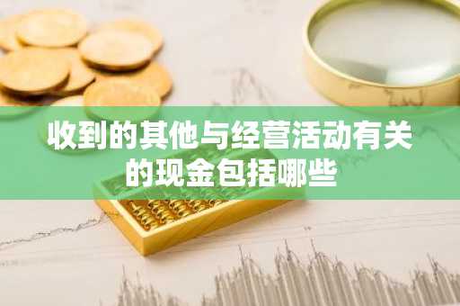 收到的其他与经营活动有关的现金包括哪些