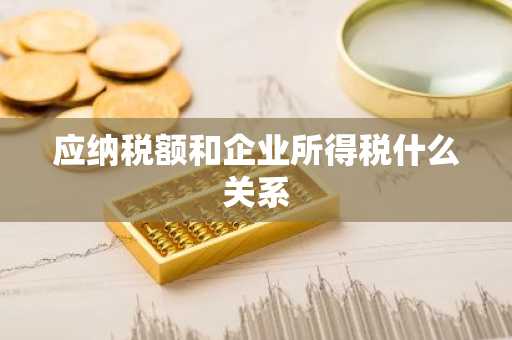 应纳税额和企业所得税什么关系