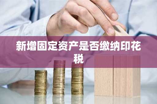 新增固定资产是否缴纳印花税