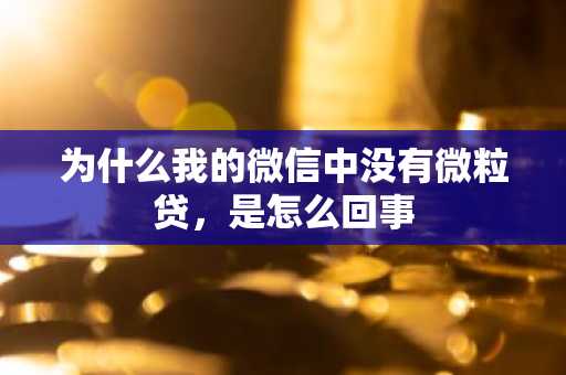 为什么我的微信中没有微粒贷，是怎么回事