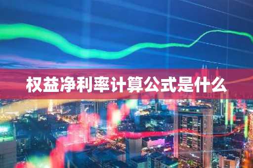 权益净利率计算公式是什么