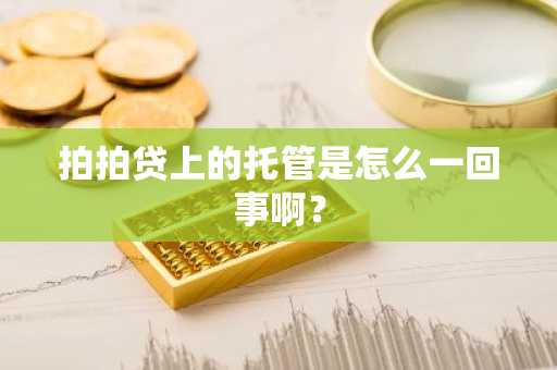拍拍贷上的托管是怎么一回事啊？