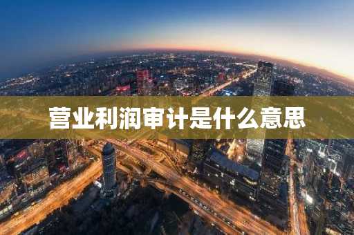 营业利润审计是什么意思