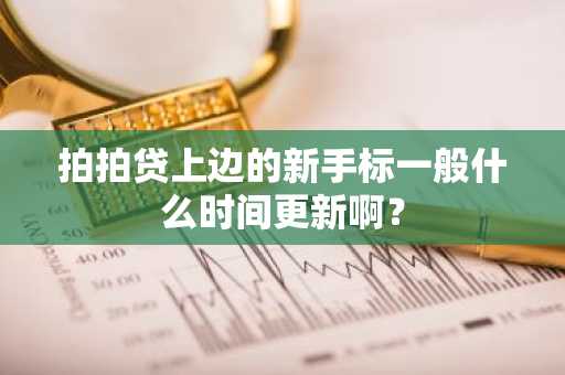 拍拍贷上边的新手标一般什么时间更新啊？
