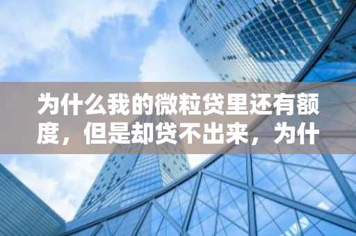 为什么我的微粒贷里还有额度，但是却贷不出来，为什么呢？