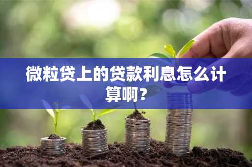 微粒贷上的贷款利息怎么计算啊？