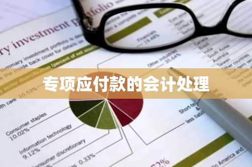 专项应付款的会计处理