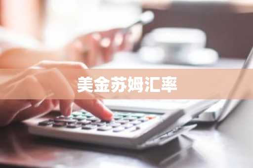 美金苏姆汇率