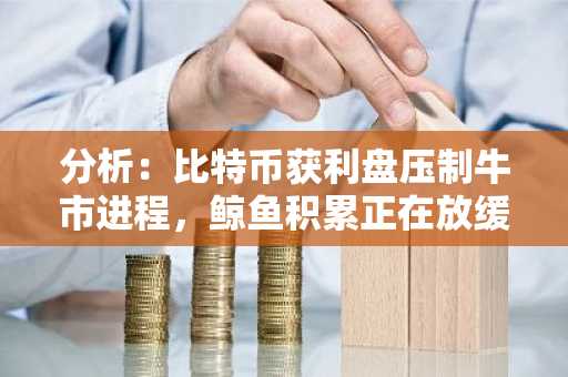 分析：比特币获利盘压制牛市进程，鲸鱼积累正在放缓