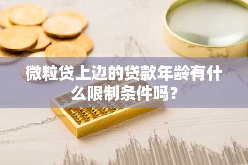 微粒贷上边的贷款年龄有什么限制条件吗？