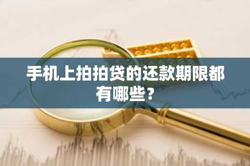 手机上拍拍贷的还款期限都有哪些？