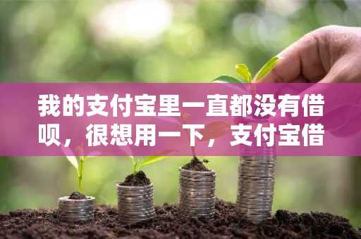 我的支付宝里一直都没有借呗，很想用一下，支付宝借呗能强开吗？