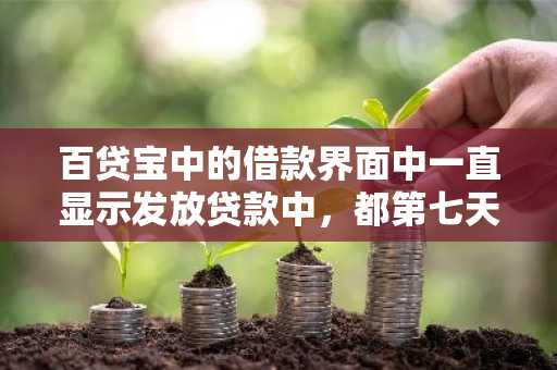 百贷宝中的借款界面中一直显示发放贷款中，都第七天了，一直不到帐，这是怎么回事？