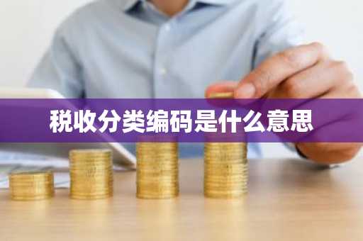 税收分类编码是什么意思