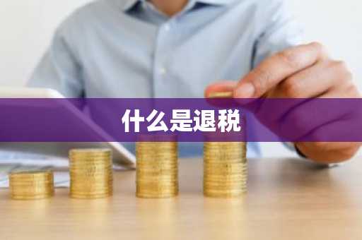 什么是退税